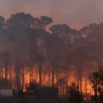 Bushfire burning at Cadelgo, Berambing, 15 Dec 2019