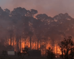 Bushfire burning at Cadelgo, Berambing, 15 Dec 2019