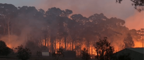 Bushfire burning at Cadelgo, Berambing, 15 Dec 2019
