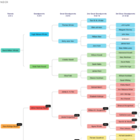 graphical family tree of David Winder